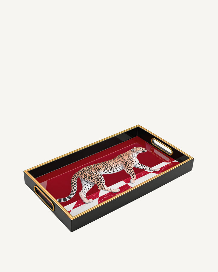 Oracle Tray | Rectangle
